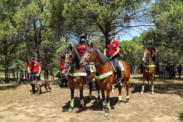 İstanbul'da ormanlara giriş yasaklandı mı? İstanbul'da piknik mangal yapmak yasak mı? İstanbul'da yangın var mı? - 1