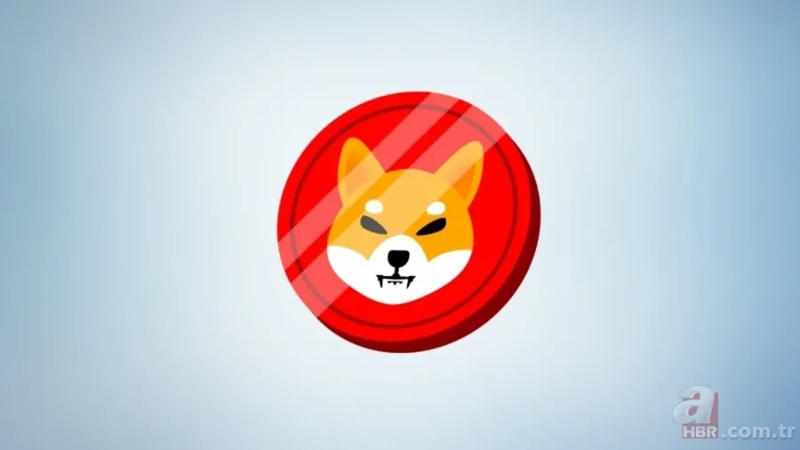 Shiba coine yeni tokenlerin etkisi... Shiba coin yakımı ne zaman? Shiba coin düşecek mi, artacak mı? 1