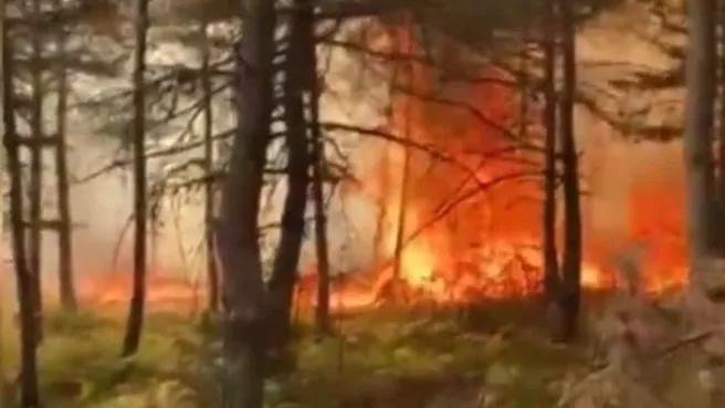 Tokat’ta orman yangını! Reşadiye Belediye Başkanı Mustafa Yılmaz son durumu A Haber’de anlattı: Yangın kontrol altına alındı