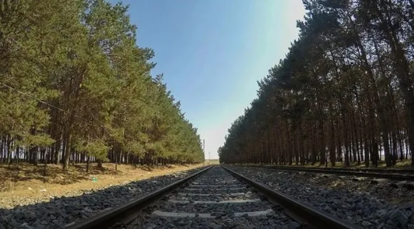 dunyada-bir-ilk-tren-bus-japonyada-hizmete-acilacak-1636960194081.jpg Dünyada bir ilk! ‘Tren-büs’ Japonya'da hizmete açılacak - 2