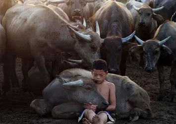 2018'in en iyi fotoğrafları seçildi