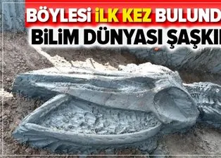 Bilim dünyasını şaşkına çeviren olay! Asırlara meydan okumuş! Tam 5 bin yıllık