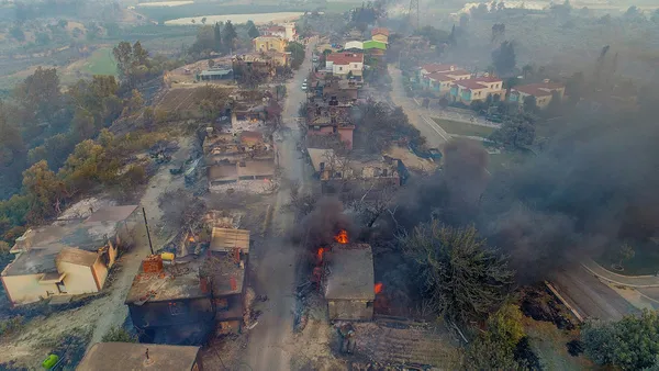 Tarım ve Orman Bakanı Bekir Pakdemirli’den Antalya Manavgat’ta çıkan yangına ilişkin son dakika açıklamaları