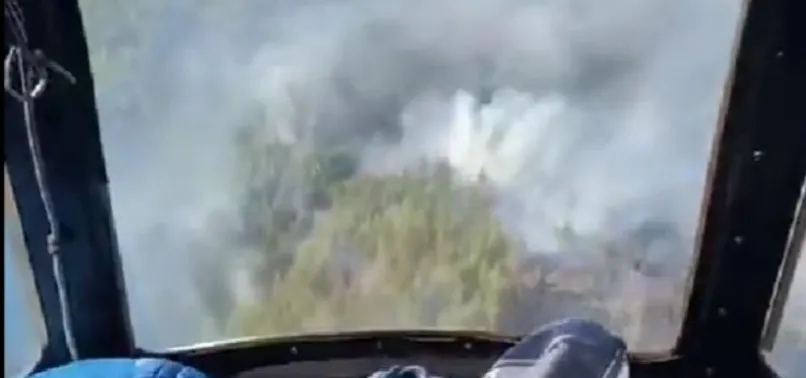 Son dakika! Alanya'da orman yangını çıktı