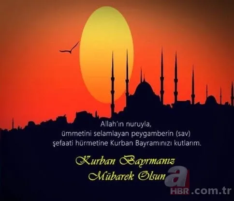 Kurban Bayramı sözleri kısa uzun! | Anlamlı farklı Resimli Kurban Bayramı mesajları sözleri için tıklayınız! 20