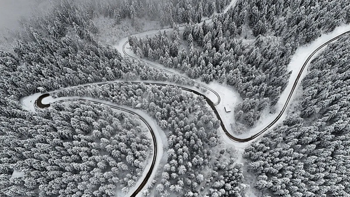 Ordu ve Artvin'de kar etkili oluyor