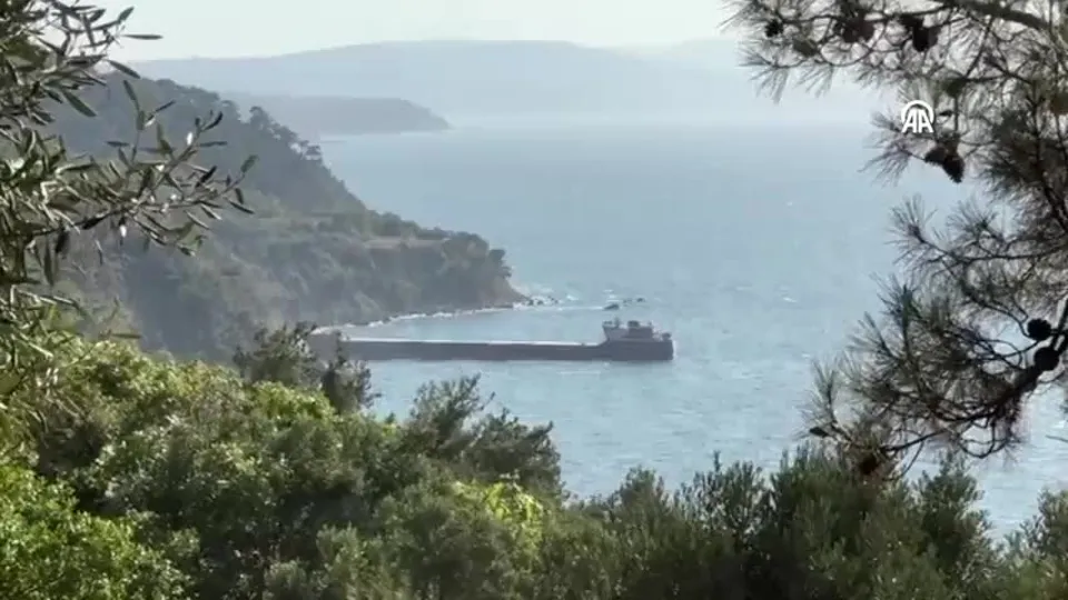 Mudanya’da kargo gemisi karaya oturdu