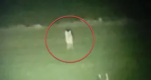 Yerini gizli tutuyor! Tüyler ürperten bağ