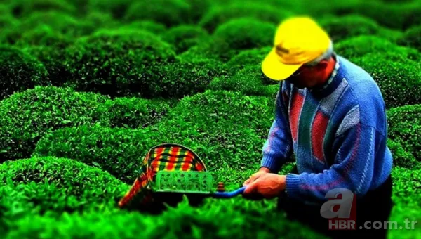 Mevsimlik işçiler kıdem tazminatı alabilir mi? Kıdem tazminatı nasıl hesaplanır? 1