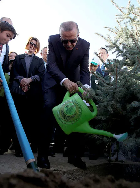 Başkan Erdoğan: 10 milyon fidan okul çağındaki evlatlarımız adına toprakla buluşuyor - 1