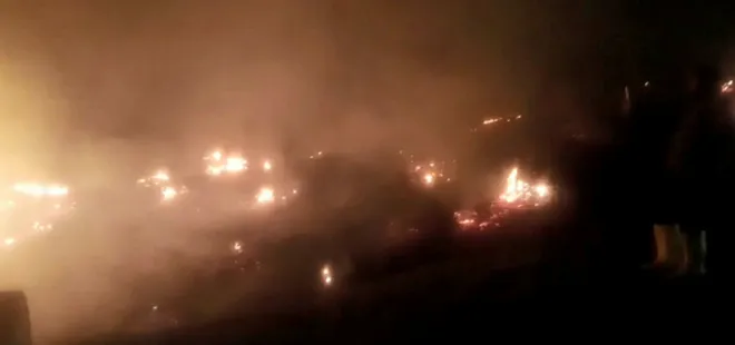 Bilecik’te orman yangını