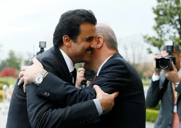 Başkan Erdoğan-Al Sani görüşmesi başladı