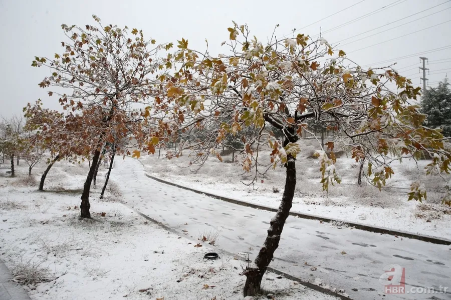 Meteorolojiden SON DAKİKA kar yağışı uyarısı! Hangi illere kar yağdı? İşte Türkiye'den kar manzaraları! 6