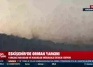 Eskişehirde orman yangını