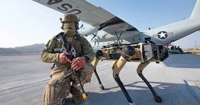 ABD ordusunda robot köpekler dönemi! Operasyona katıldılar