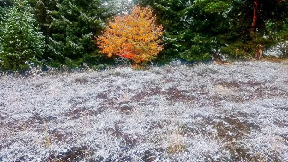 30 santimetreye ulaştı! Artvin beyaz örtüye büründü