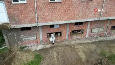 İneklerini 4 katlı apartmanda bakıyor