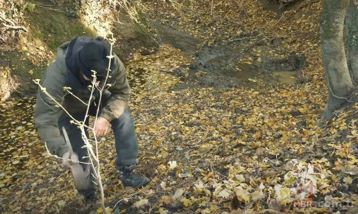 İlkel malzemelerle ormanda Hobbit evi yaptı! Hayran kalmamak elde değil | Vahşi doğada hayatta kalma belgeseli