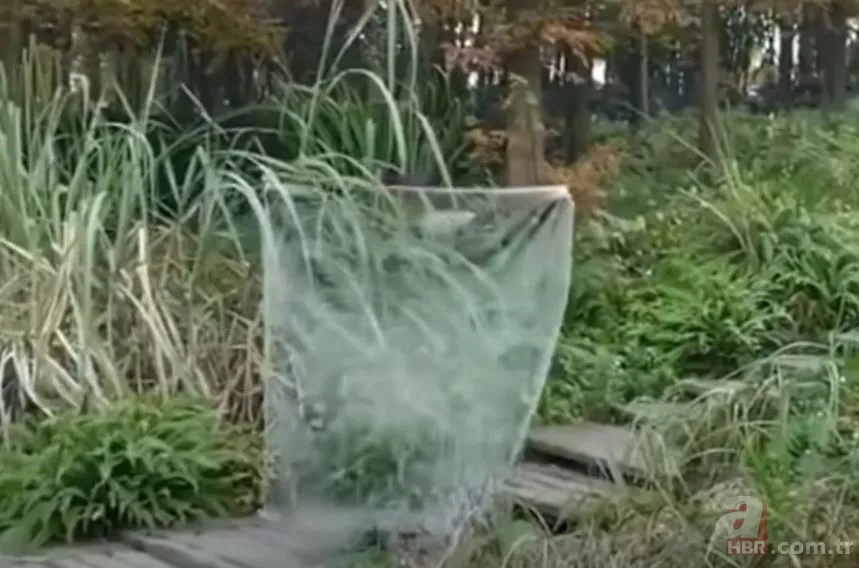 Milyonların çocukluk hayali gerçek oldu! Görünmezliği buldular! 3