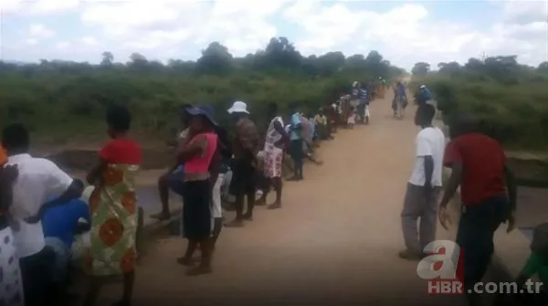 Yüzlerce kiloluk dev timsah tedavi edildi! Görüntüleri sosyal medyayı salladı 7