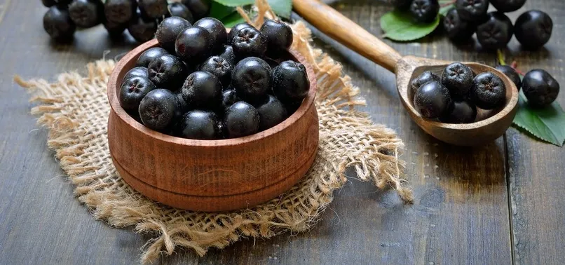 Kilosu 250 TL! Türkiye’nin en pahalı meyvesi Aronya’nın iyi geldiği hastalıklar neler?