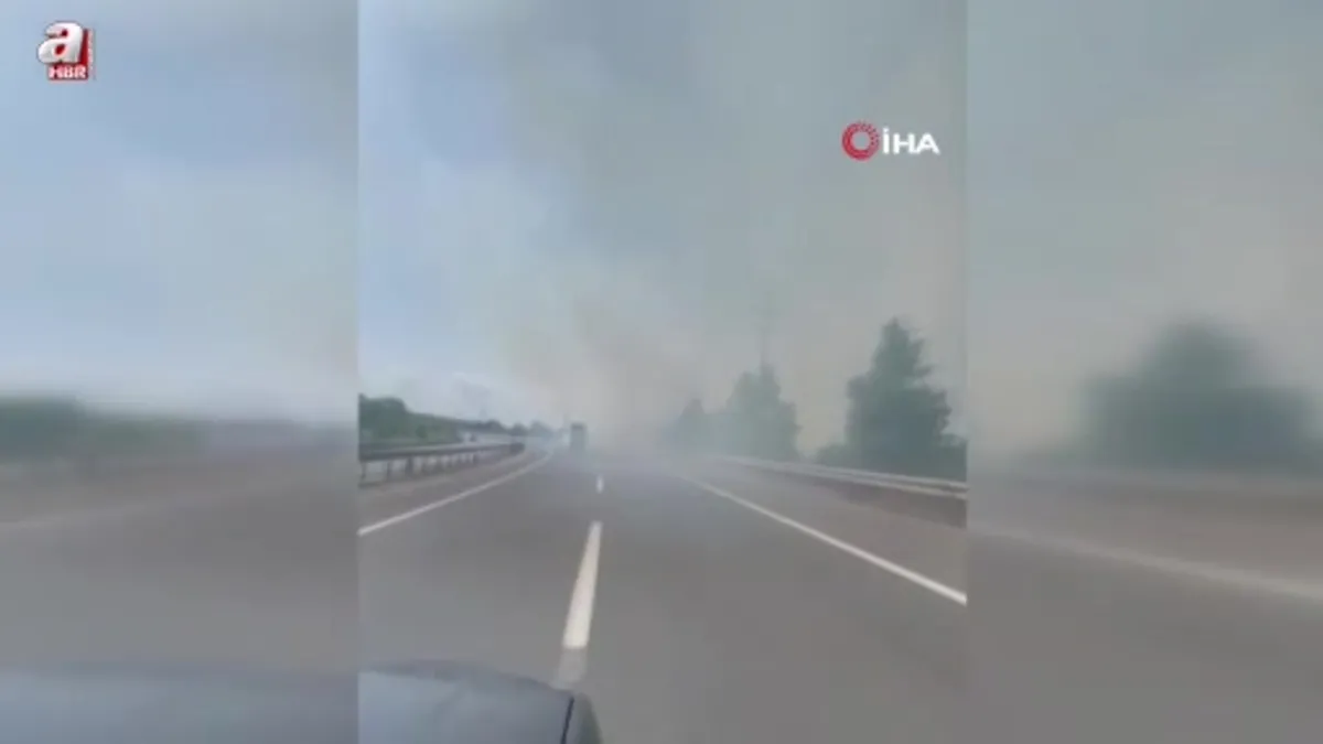 Sakarya’da otluk alanda çıkan yangın kara yolunu kapladı