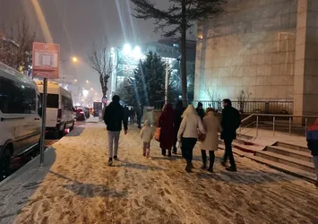 Van'da kar yağışı etkili oldu