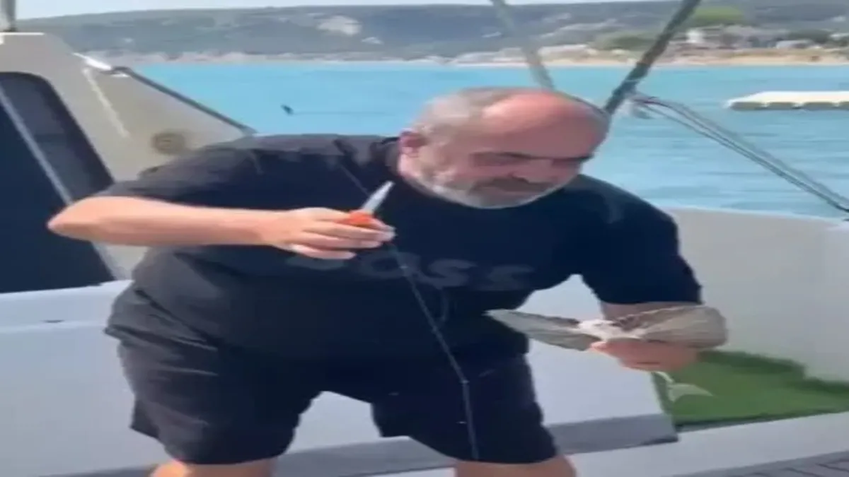 Saros'ta nadir görülen kırlangıç balığı oltaya takıldı