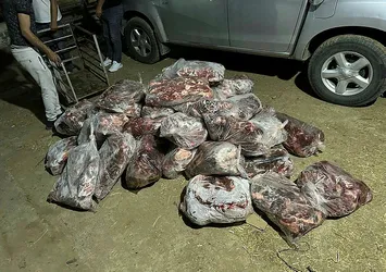 İncirliova'da 1 ton domuz eti ele geçirildi