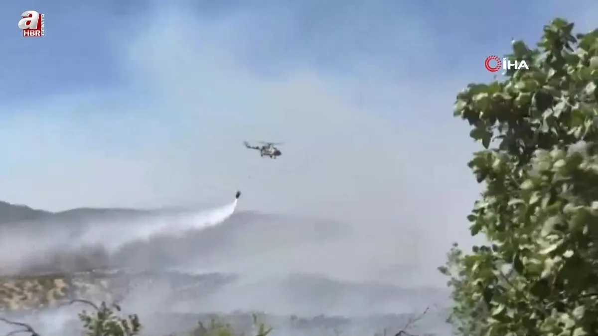 Gabar Dağı'nda orman yangını
