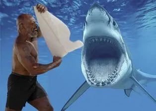 Dünyaca ünlü boksör Mike Tyson köpek balıklarına karşı! Aralarına daldı burnundan tutup...
