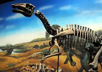 Bilim adamları diş döken dinozor türü keşfetti