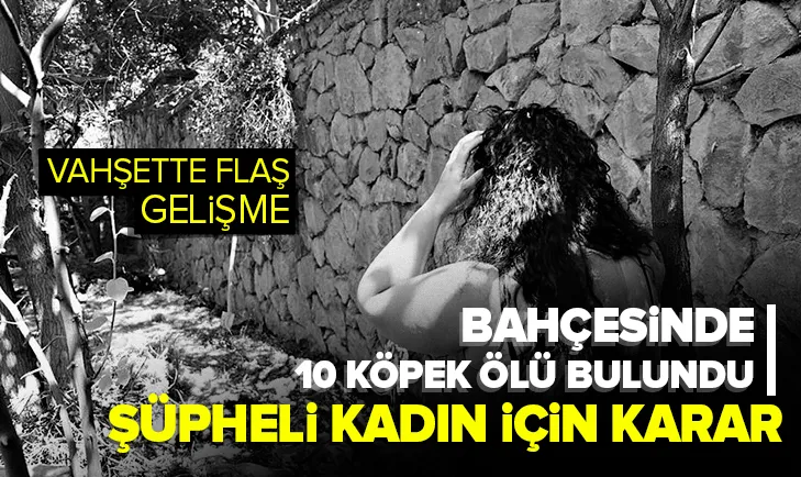 Bahçesinde 10 ölü köpek bulunan kadın için flaş karar