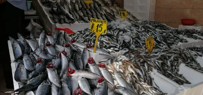 Balıkseverlere müjde! Yarım kiloluk palamut 15 lira