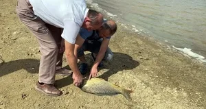 Denizde panik yaratan olay