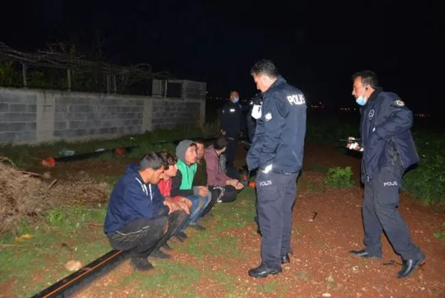 Adana’da kaçak göçmenler 30 kilometre kaçtılar, patates tarlasında yakalandılar - 1