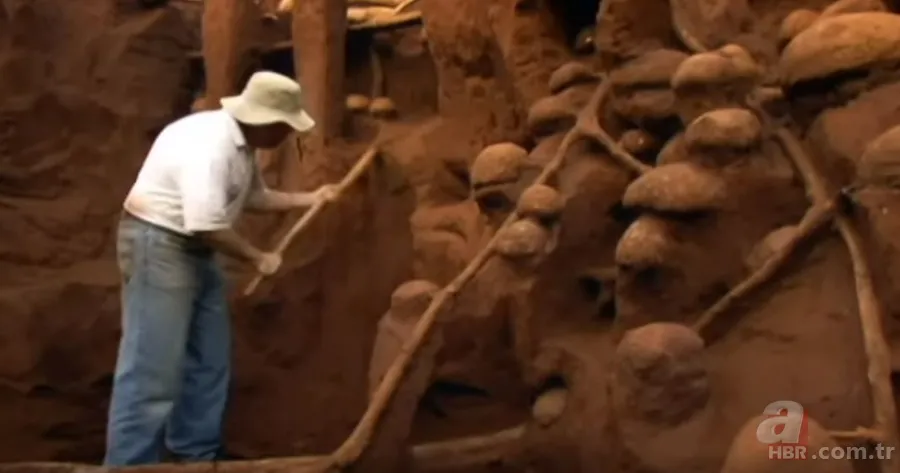 Karınca yuvasından sanat eseri çıktı 🐜 Vahşi doğanın usta mimarları! Otoban, yan yol ve patika bile yapmışlar 22