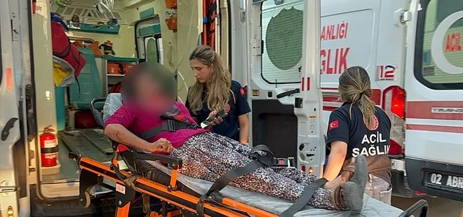 Taşlı saldırıya uğrayan kadın yaralandı