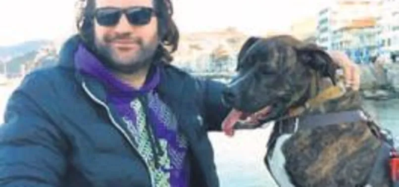 Köpek kavgasında iki ölü bir yaralı