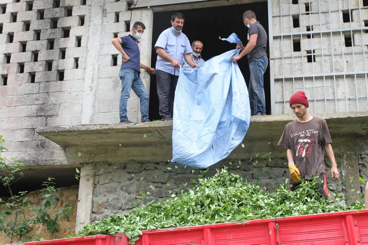 isci-de-isveren-de-mutlu-rizelilerin-imdadina-antalyali-gencler-yetisti-1592490072473.jpg İşçi de işveren de mutlu! Rizelilerin imdadına Antalyalı gençler yetişti - 2