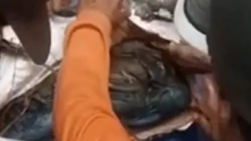 Dev piton yaşlı kadını canlı canlı yuttu!