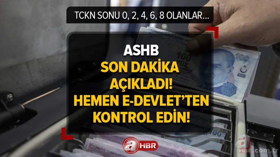 ASHB son dakika açıkladı! Hemen e-Devlet'ten kontrol edin, hesaplara yatıyor! T.C numara sonu 0, 2, 4, 6, 8 olanlar: Aile Destek, SED... 1