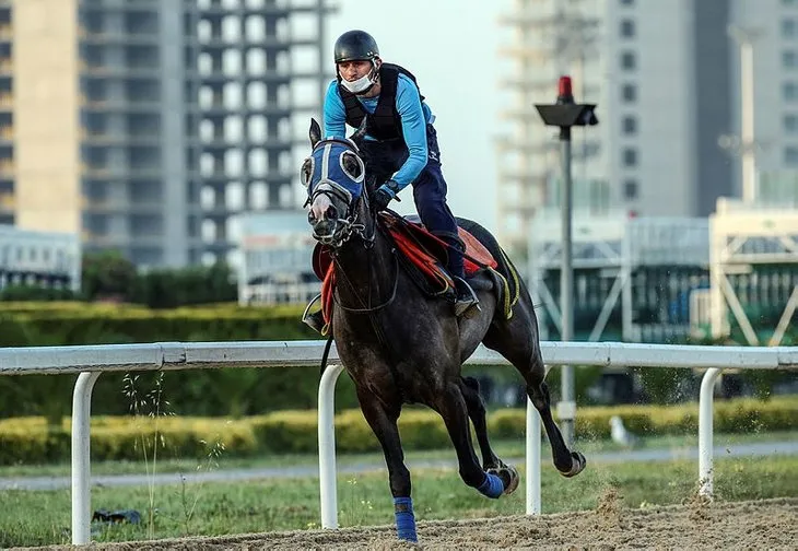 10 Haziran at yarışı başladı mı? İstanbul at yarışları ne zaman başlayacak? Hipodromlar ne zaman açılıyor?