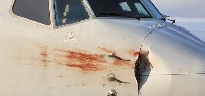 Hindistan’da yolcu uçağı flamingo sürüsüne çarptı