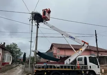Bozulan leylek yuvası düzeltildi