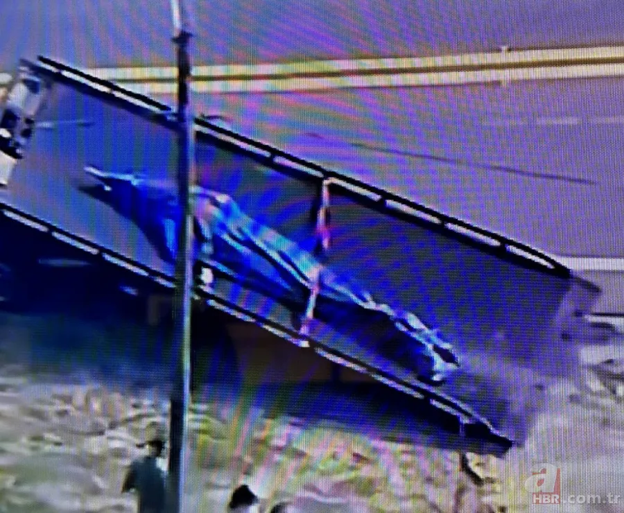 Ağzında cesetle sokaklarda dolaştı! Katil timsah alarmı: Kanlar içinde kaldı 2