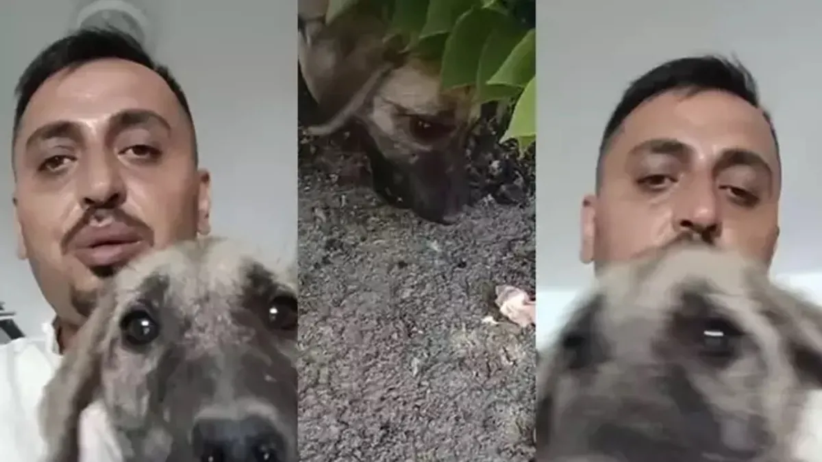 Ağır hasarlı binaya girip yavru köpeği kurtardı