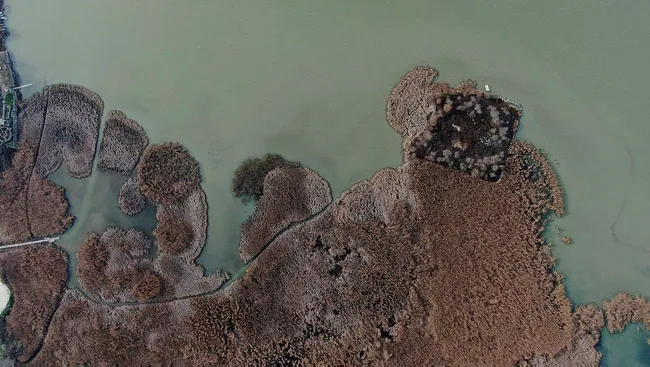 Bursa'nın Venedik'i Gölyazı yeniden ada oldu! Tarihi köy güzelliğiyle hayran bıraktı - 4