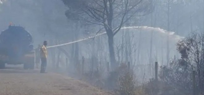 İzmir’deki orman yangınına gözaltı
