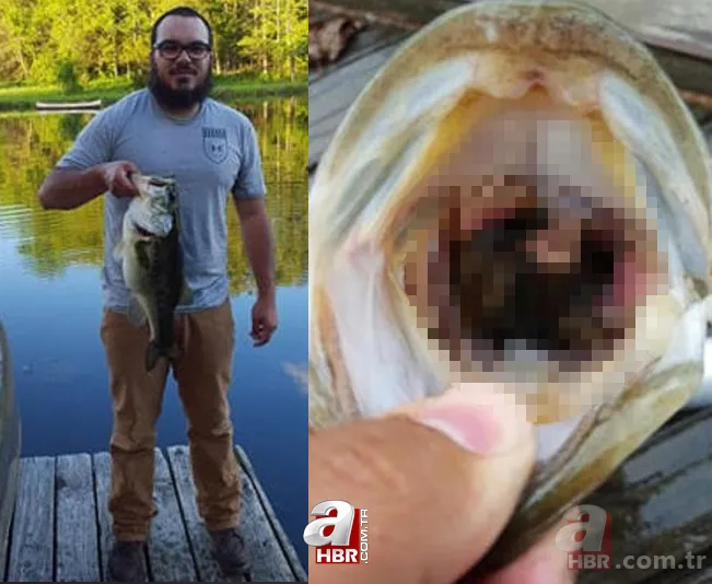 Levrek yakaladığını zannetti! Oltasına takılan balığı görünce gözlerine inanamadı 15